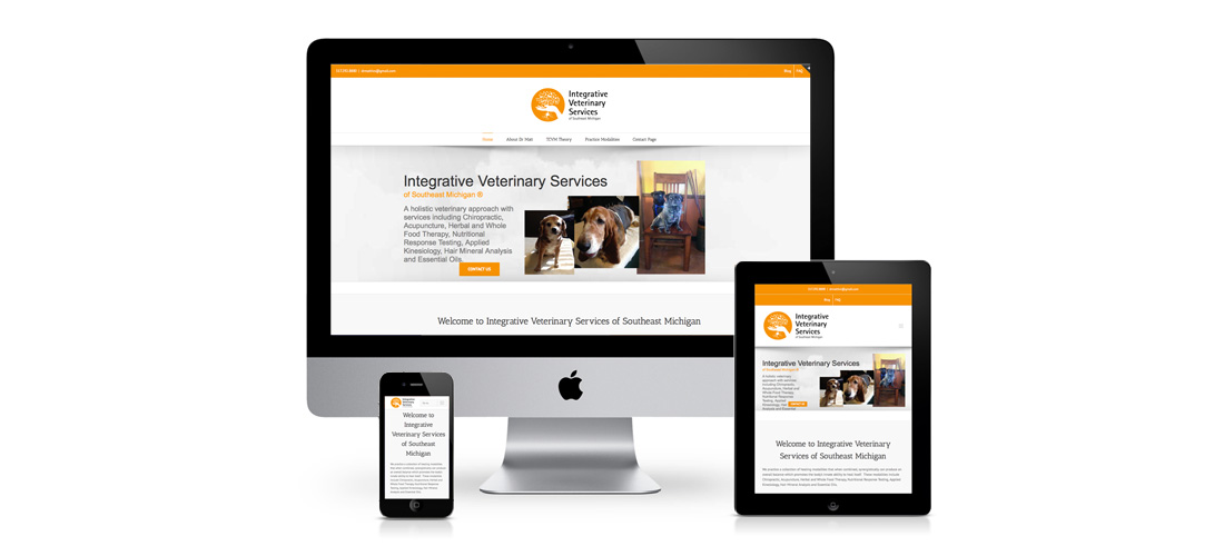 Responsive Designed Websites