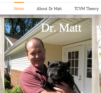 Integrative Veterinary Services