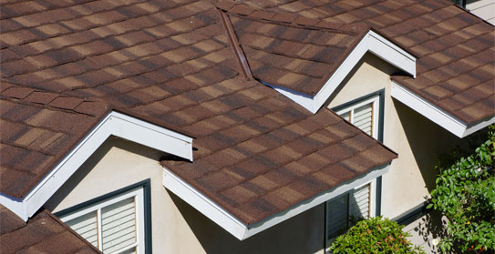 Cottage Style Roof